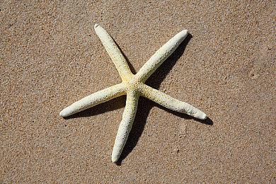 《星空》截图泄露？其实是AI生成的假图